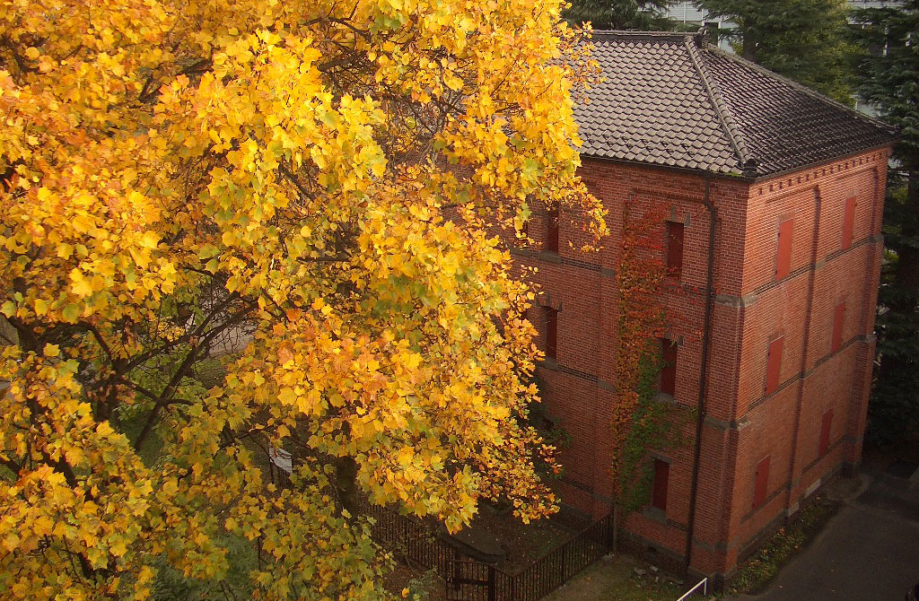 Formerly the library stack for Japan’s Second Senior High School